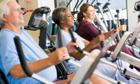 adults on exercise machines
