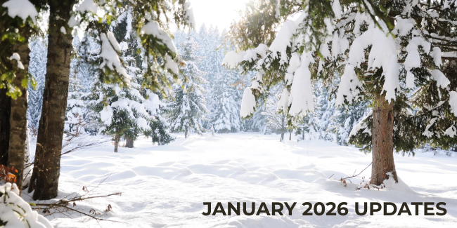 Winter forest scean with trees and snow, January 2026 written in lower right corner